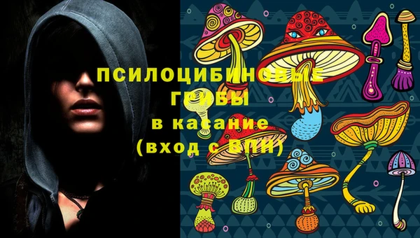 ешки Зеленокумск