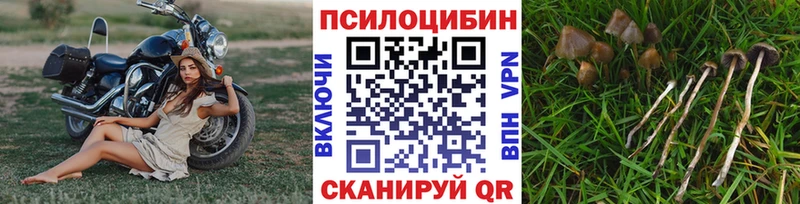 Псилоцибиновые грибы MAGIC MUSHROOMS  Сковородино 